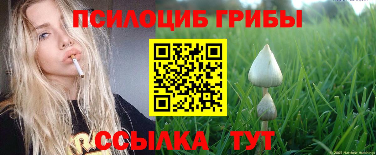 Псилоцибиновые грибы GOLDEN TEACHER  Вход с VPN  Бор 