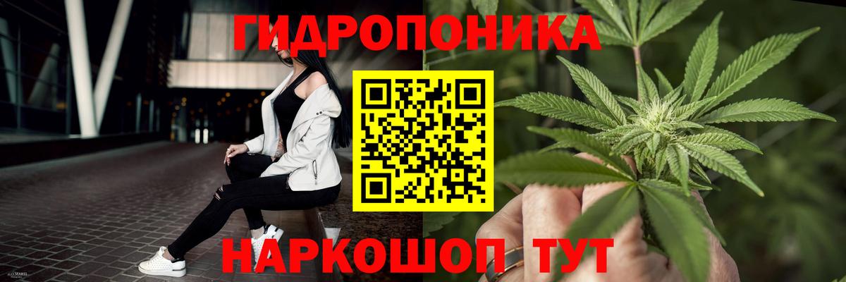 Бор  Бошки марихуана Ganja  МАРИХУАНА Bruce Banner  Вход с VPN 